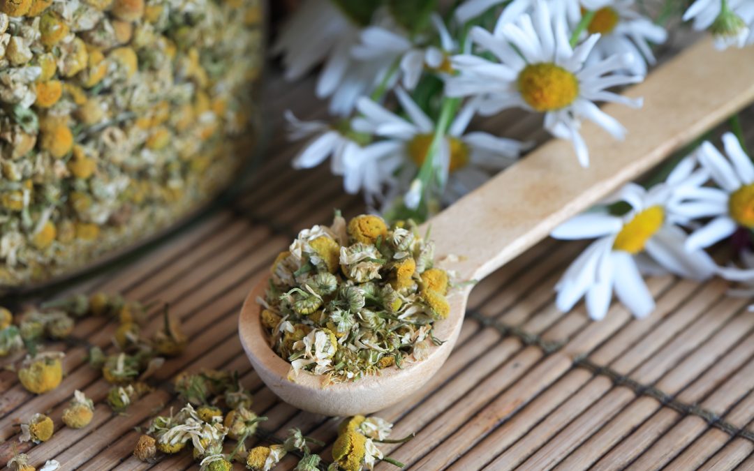 Discover the Power of Chamomile in Skincare