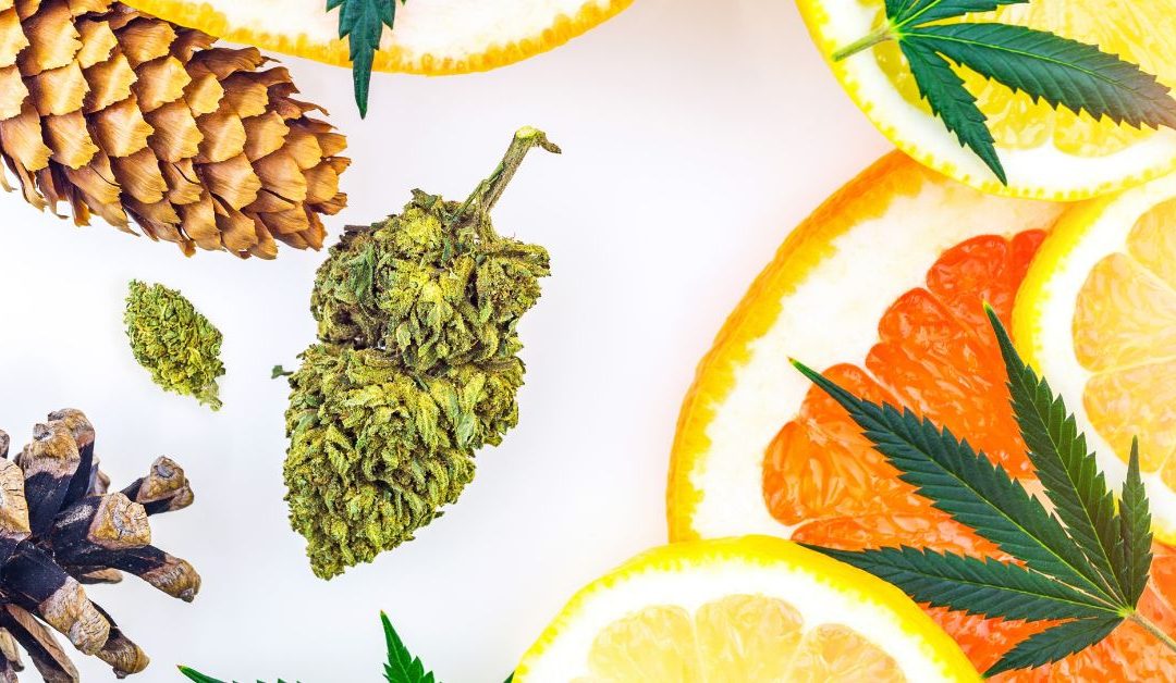 The Power of Terpenes in White Label Products